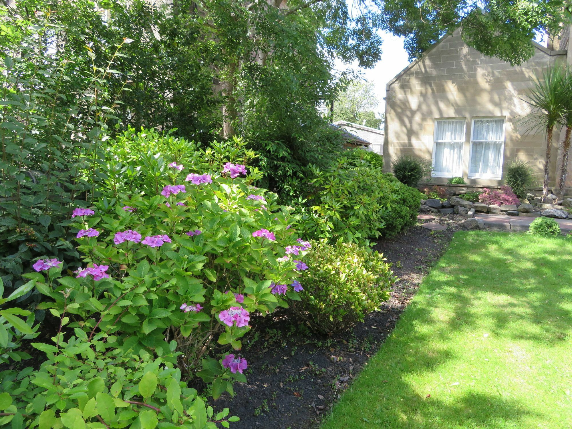 Duthus Lodge Guest House إدنبرة المظهر الخارجي الصورة